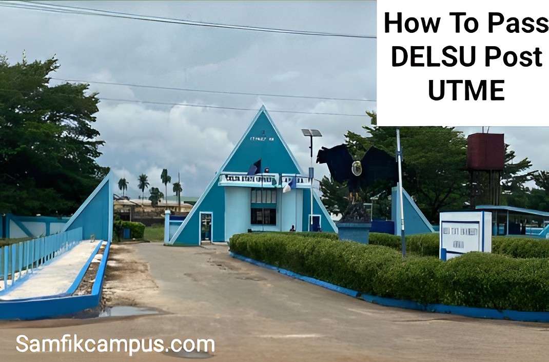 How To Pass DELSU Post Utme